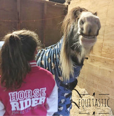 HORSE RIDER VARSITY JACKET